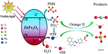 Graphical abstract: Visible-light-induced photocatalysis and peroxymonosulfate activation over ZnFe2O4 fine nanoparticles for degradation of Orange II