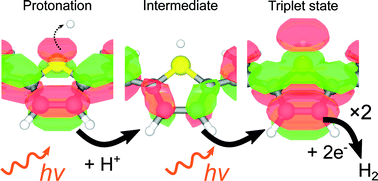 Graphical abstract: Mechanistic studies of the photo-electrochemical hydrogen evolution reaction on poly(2,2′-bithiophene)