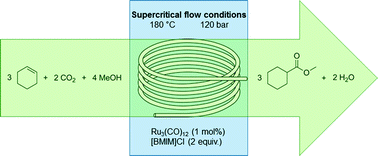 Graphical abstract: Continuous ruthenium-catalyzed methoxycarbonylation with supercritical carbon dioxide