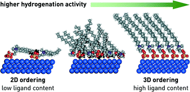 Graphical abstract: Ligand ordering determines the catalytic response of hybrid palladium nanoparticles in hydrogenation