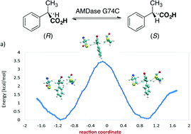Graphical abstract: Semiempirical QM/MM calculations reveal a step-wise proton transfer and an unusual thiolate pocket in the mechanism of the unique arylpropionate racemase AMDase G74C