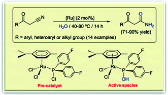 Graphical abstract: Chlorophosphines as auxiliary ligands in ruthenium-catalyzed nitrile hydration reactions: application to the preparation of β-ketoamides