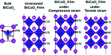 Graphical abstract: Spin-state transition in unstrained & strained ultra-thin BiCoO3 films