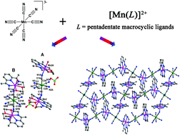 Graphical abstract: Syntheses, structures, and magnetic properties of three new cyano-bridged complexes based on the [Mn(CN)6]3− building block