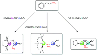 Graphical abstract: Heterobimetallic metallation studies of N,N-dimethylphenylethylamine (DMPEA): benzylic C–H bond cleavage/dimethylamino capture or intact DMPEA complex