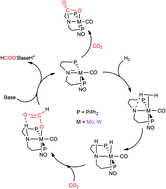 Graphical abstract: Ligand assisted carbon dioxide activation and hydrogenation using molybdenum and tungsten amides