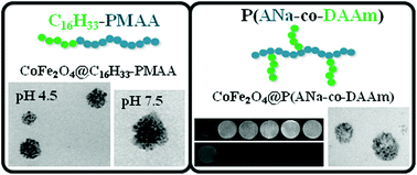 Graphical abstract: Magnetic colloidal superparticles of Co, Mn and Ni ferrite featured with comb-type and/or linear amphiphilic polyelectrolytes; NMR and MRI relaxometry