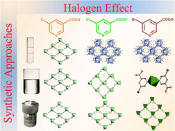 Graphical abstract: Exceptional sensitivity to the synthetic approach and halogen substituent for Zn(ii) coordination assemblies with 5-halonicotinic acids