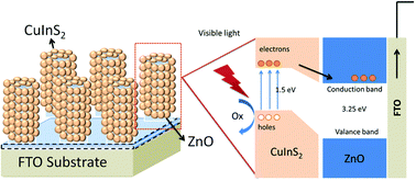 Graphical abstract: Complete surface coverage of ZnO nanorod arrays by pulsed electrodeposited CuInS2 for visible light energy conversion