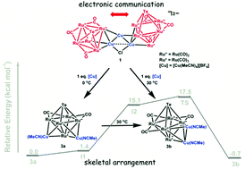 Graphical abstract: Copper-incorporated mono- and di-TeRu5 metal carbonyl complexes: syntheses, structures, and an unusual skeletal arrangement