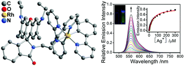 Graphical abstract: Introduction of luminescent rhenium(i), ruthenium(ii), iridium(iii) and rhodium(iii) systems into rhodamine-tethered ligands for the construction of bichromophoric chemosensors