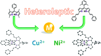 Graphical abstract: Heteroleptic bis(dipyrrinato)copper(ii) and nickel(ii) complexes