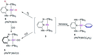 Graphical abstract: C–H and H–H bond activation via ligand dearomatization/rearomatization of a PN3P-rhodium(i) complex