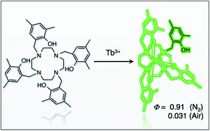 Graphical abstract: A macrocyclic tetraamine bearing four phenol groups: a new class of heptadentate ligands to provide an oxygen-sensitive luminescent Tb(iii) complex with an extendable phenol pendant arm