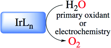 Graphical abstract: Iridium-based complexes for water oxidation