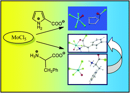 Graphical abstract: MoCl5 as an effective chlorinating agent towards α-amino acids: synthesis of α-ammonium-acylchloride salts and α-amino-acylchloride complexes