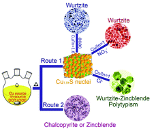 Graphical abstract: One-pot synthesis of CuInS2 nanocrystals using different anions to engineer their morphology and crystal phase