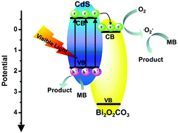 Graphical abstract: Preparation of CdS nanoparticle loaded flower-like Bi2O2CO3 heterojunction photocatalysts with enhanced visible light photocatalytic activity