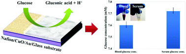 Graphical abstract: A robust enzymeless glucose sensor based on CuO nanoseed modified electrodes
