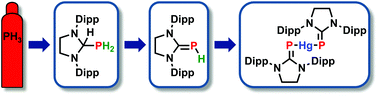 Graphical abstract: Carbene insertion into a P–H bond: parent phosphinidene–carbene adducts from PH3 and bis(phosphinidene)mercury complexes