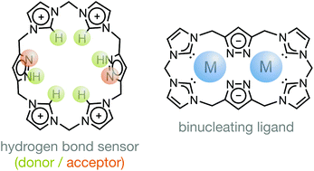 Graphical abstract: Introducing a pyrazole/imidazole based hybrid cyclophane: a hydrogen bond sensor and binucleating ligand precursor