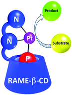Graphical abstract: Cyclodextrin-based PNN supramolecular assemblies: a new class of pincer-type ligands for aqueous organometallic catalysis