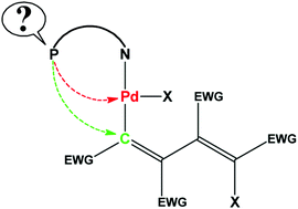 Graphical abstract: The addition of bromine and iodine to palladacyclopentadienyl complexes bearing bidentate heteroditopic P−N spectator ligands derived from differently substituted quinolinic frames. The unexpected evolution of the reaction