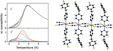 Graphical abstract: Synthesis, structure and properties of [Co(NCS)2(4-(4-chlorobenzyl)pyridine)2]n, that shows slow magnetic relaxations and a metamagnetic transition
