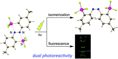 Graphical abstract: 2,2′-Disilylazobenzenes featuring double intramolecular nitrogen⋯silicon coordination: a photoisomerizable fluorophore