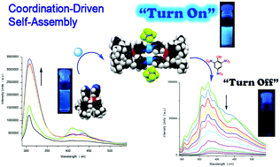 Graphical abstract: Supramolecular fluorescence enhancement via coordination-driven self-assembly in bis-picolylcalixarene blue-emitting M2L2Xn macrocycles