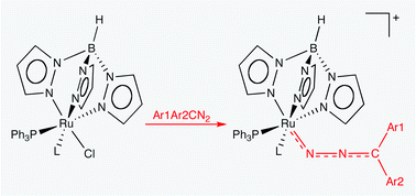 Graphical abstract: Diazoalkane complexes of ruthenium with tris(pyrazolyl)borate and bis(pyrazolyl)acetate ligands