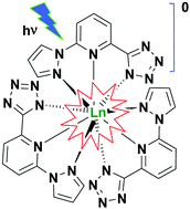 Graphical abstract: Highly luminescent charge-neutral europium(iii) and terbium(iii) complexes with tridentate nitrogen ligands