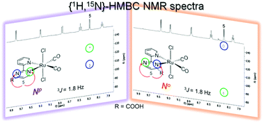 Graphical abstract: 15N NMR spectroscopy unambiguously establishes the coordination mode of the diimine linker 2-(2′-pyridyl)pyrimidine-4-carboxylic acid (cppH) in Ru(ii) complexes