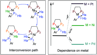 Graphical abstract: Mechanism of intramolecular transformations of nickel phosphanido hydride complexes