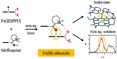 Graphical abstract: Alkoxide coordination of iron(iii) protoporphyrin IX by antimalarial quinoline methanols: a key interaction observed in the solid-state and solution