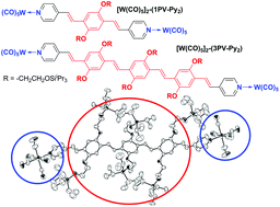 Graphical abstract: Synthesis and structural analysis of tungsten-carbonyl dimers bridged with oligo(2,5-dialkoxy-1,4-phenylene vinylene)s through pyridine coordination