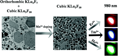 Graphical abstract: Cubic KLu3F10 nanocrystals: Mn2+ dopant-controlled synthesis and upconversion luminescence