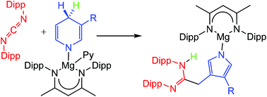 Graphical abstract: Facile kinetic induction of a dihydropyridide to pyrrolide ring contraction