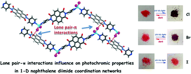 Graphical abstract: The impact of lone pair–π interactions on photochromic properties in 1-D naphthalene diimide coordination networks