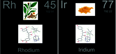 Graphical abstract: Organometallic rhodium(iii) and iridium(iii) cyclopentadienyl complexes with curcumin and bisdemethoxycurcumin co-ligands