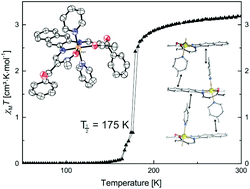 Graphical abstract: Iron(ii) spin crossover complexes with diaminonaphthalene-based Schiff base-like ligands: mononuclear complexes