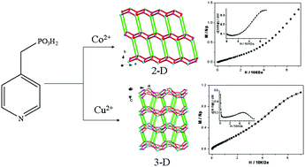 Graphical abstract: Cobalt and copper pyridylmethylphosphonates with two- and three-dimensional structures and field-induced magnetic transitions