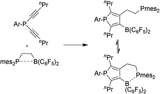 Graphical abstract: Phosphole formation by 1,1-carboboration – reactions of bis-alkynyl phosphanes with a frustrated P/B Lewis pair
