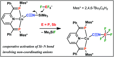 Graphical abstract: Reactions of [Cu(X)(BPEP-Ph)] (X = PF6, SbF6) with silyl compounds. Cooperative bond activation involving non-coordinating anions