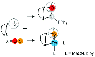 Graphical abstract: Diolefins with an ether/thioether functionality as ligands in the coordination sphere of Ni and Rh
