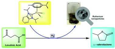 Graphical abstract: Selective hydrogenation of levulinic acid to γ-valerolactone using in situ generated ruthenium nanoparticles derived from Ru–NHC complexes