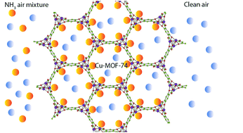 Graphical abstract: High volumetric uptake of ammonia using Cu-MOF-74/Cu-CPO-27