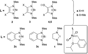 Graphical abstract: Nitrenium ions and trivalent boron ligands as analogues of N-heterocyclic carbenes in olefin metathesis: a computational study