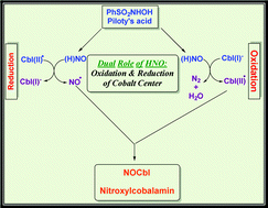 Graphical abstract: Mechanistic studies of the reactions of the reduced vitamin B12 derivatives with the HNO donor Piloty's acid: further evidence for oxidation of cob(i)alamin by (H)NO