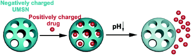 Graphical abstract: Ultra-small mesoporous silica nanoparticles as efficient carriers for pH responsive releases of anti-cancer drugs